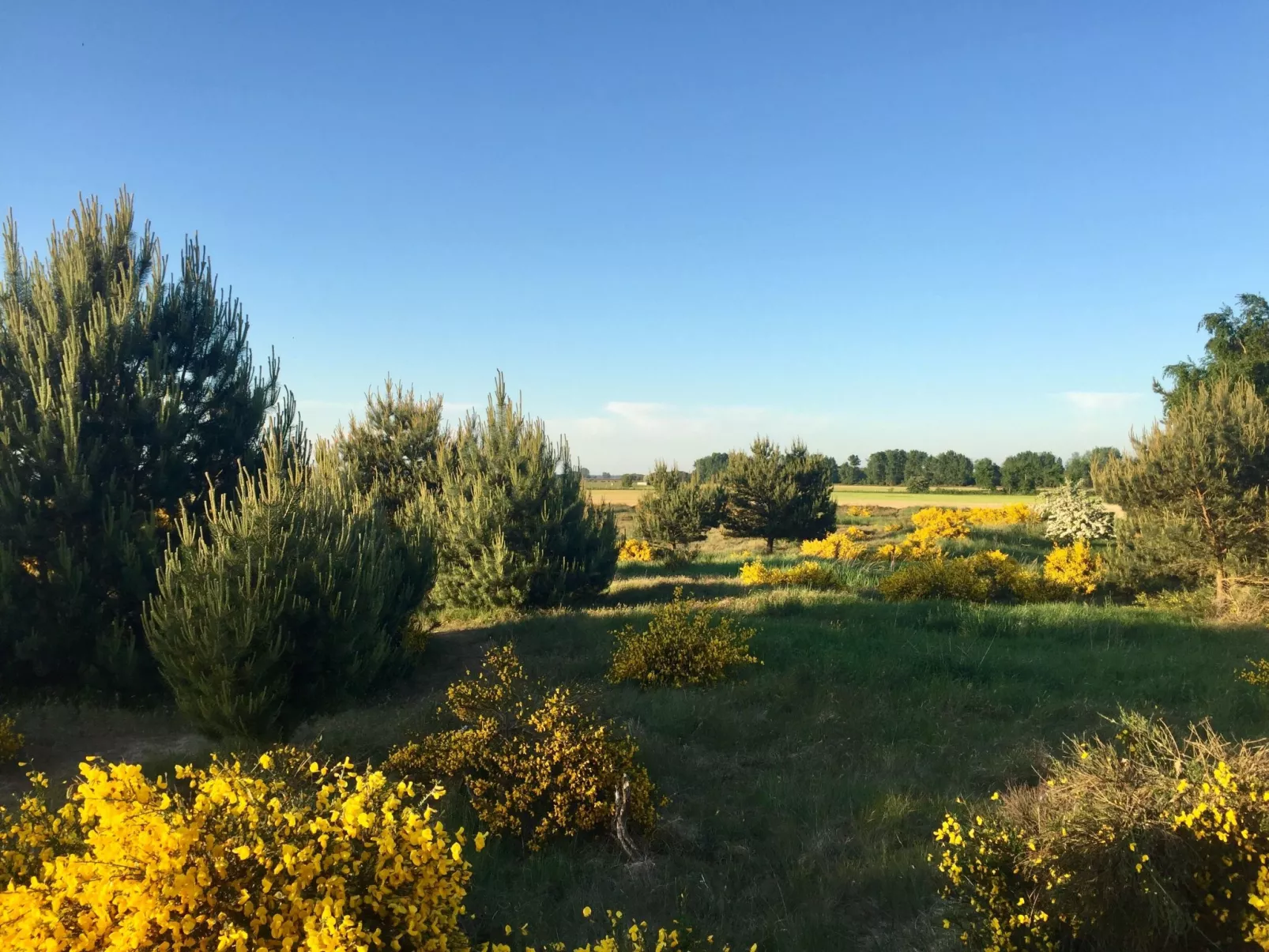 Wiesenblick 6-Buiten