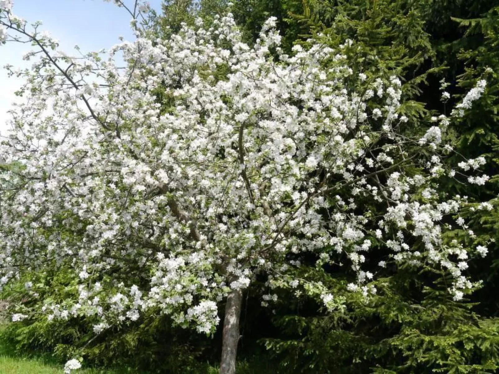 Gästehaus Siebert-Image-tags.info