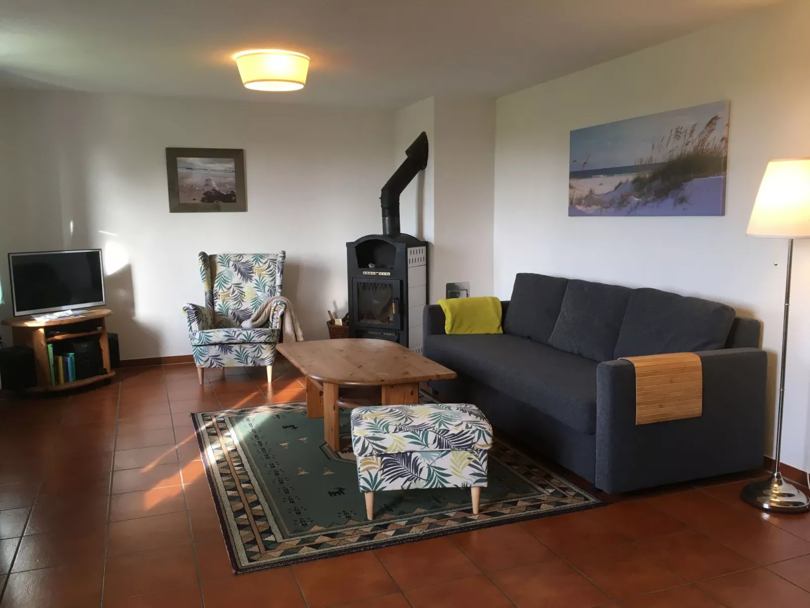 Möwe in Ummanz-Lüßvitz-Binnen