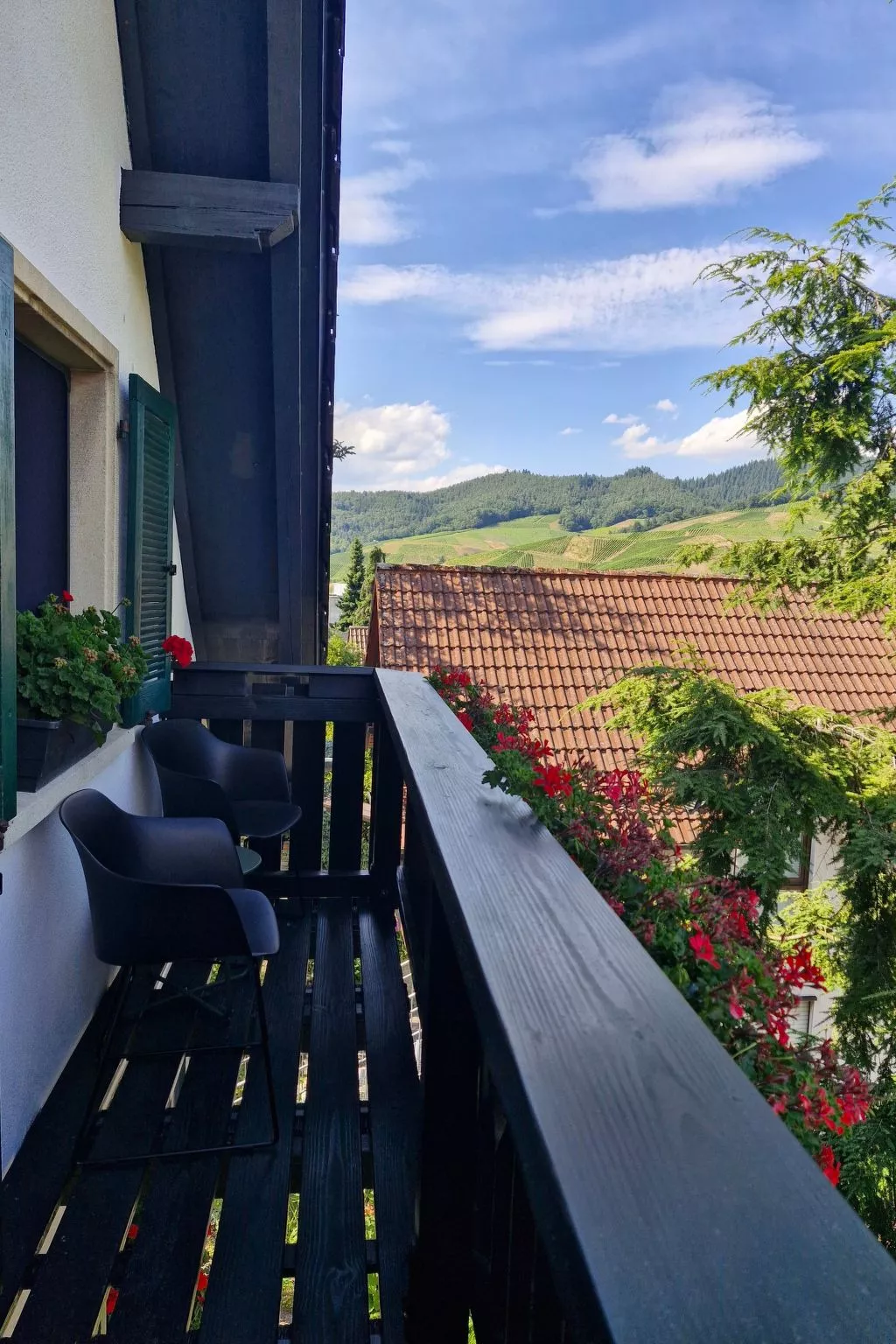 Schwarzwald Königin-Buiten