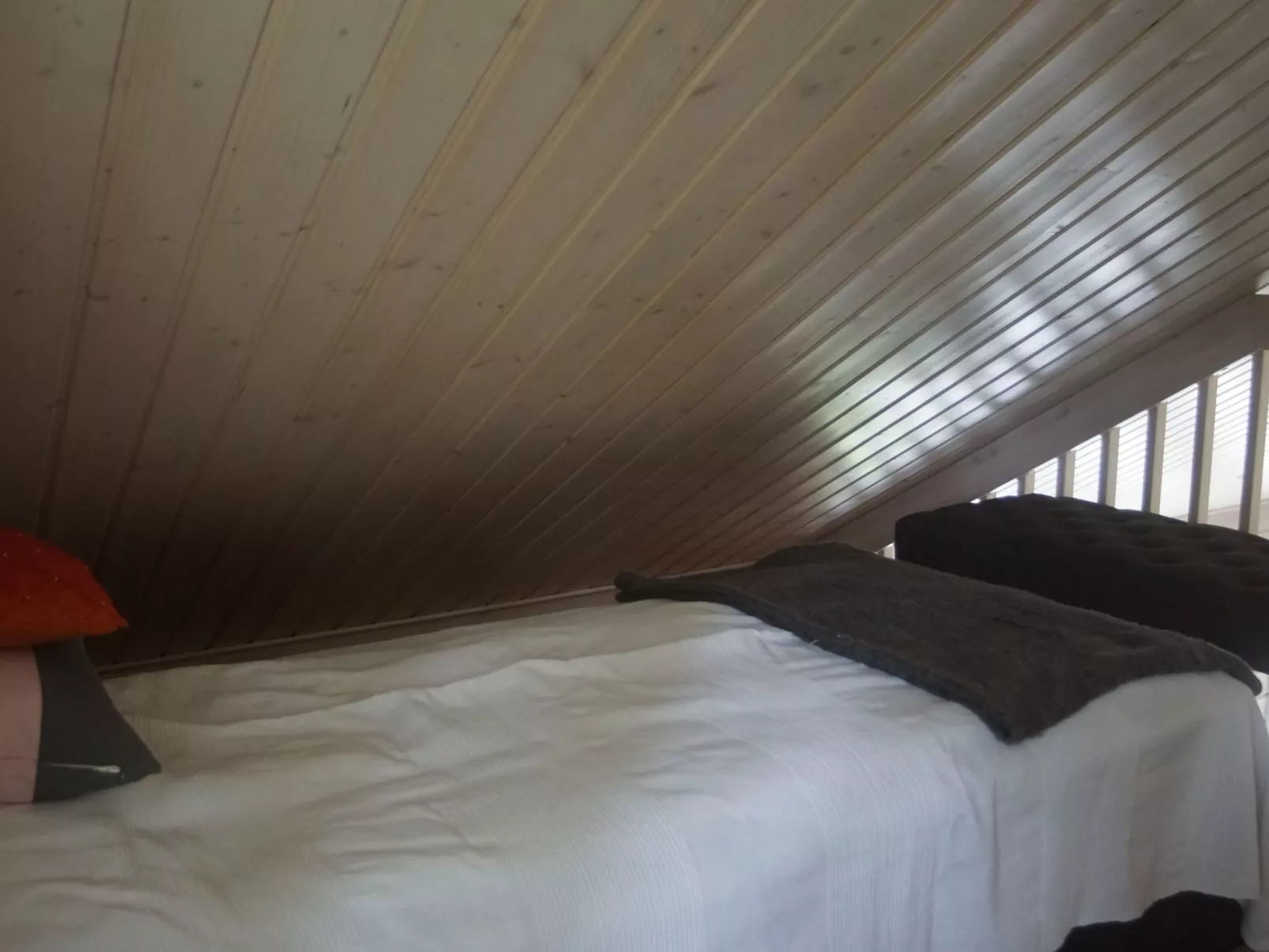 Ferienvilla mit Sauna und Garten am See-Binnen