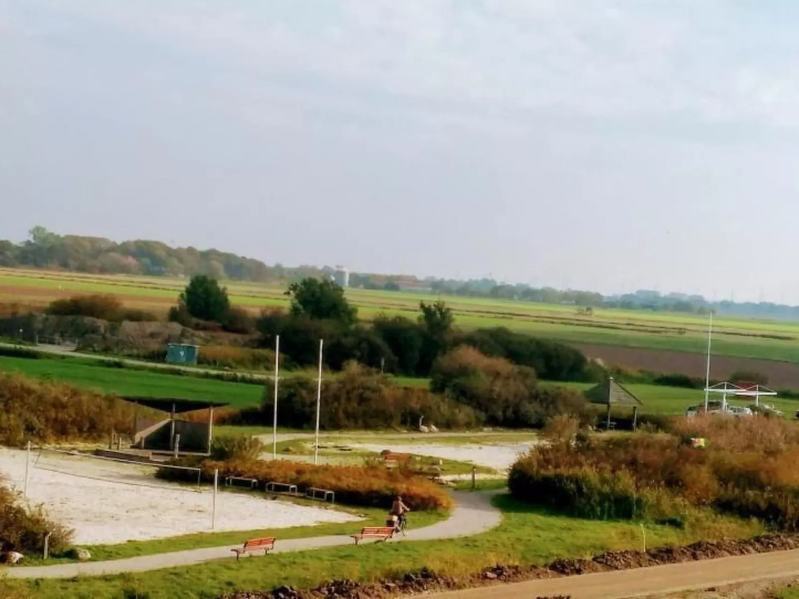 Seepferdchen-Image-tags.info