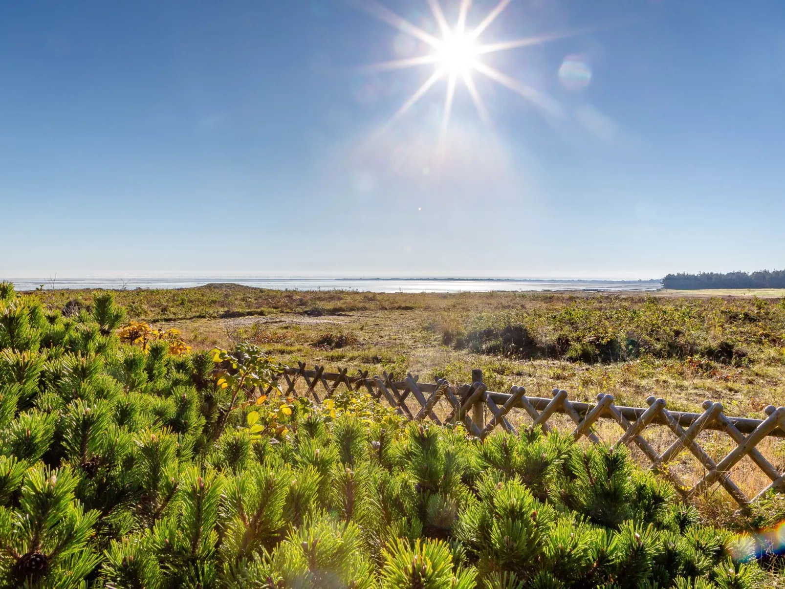 Sönshörn - S8M - in Munkmarsch-Buiten