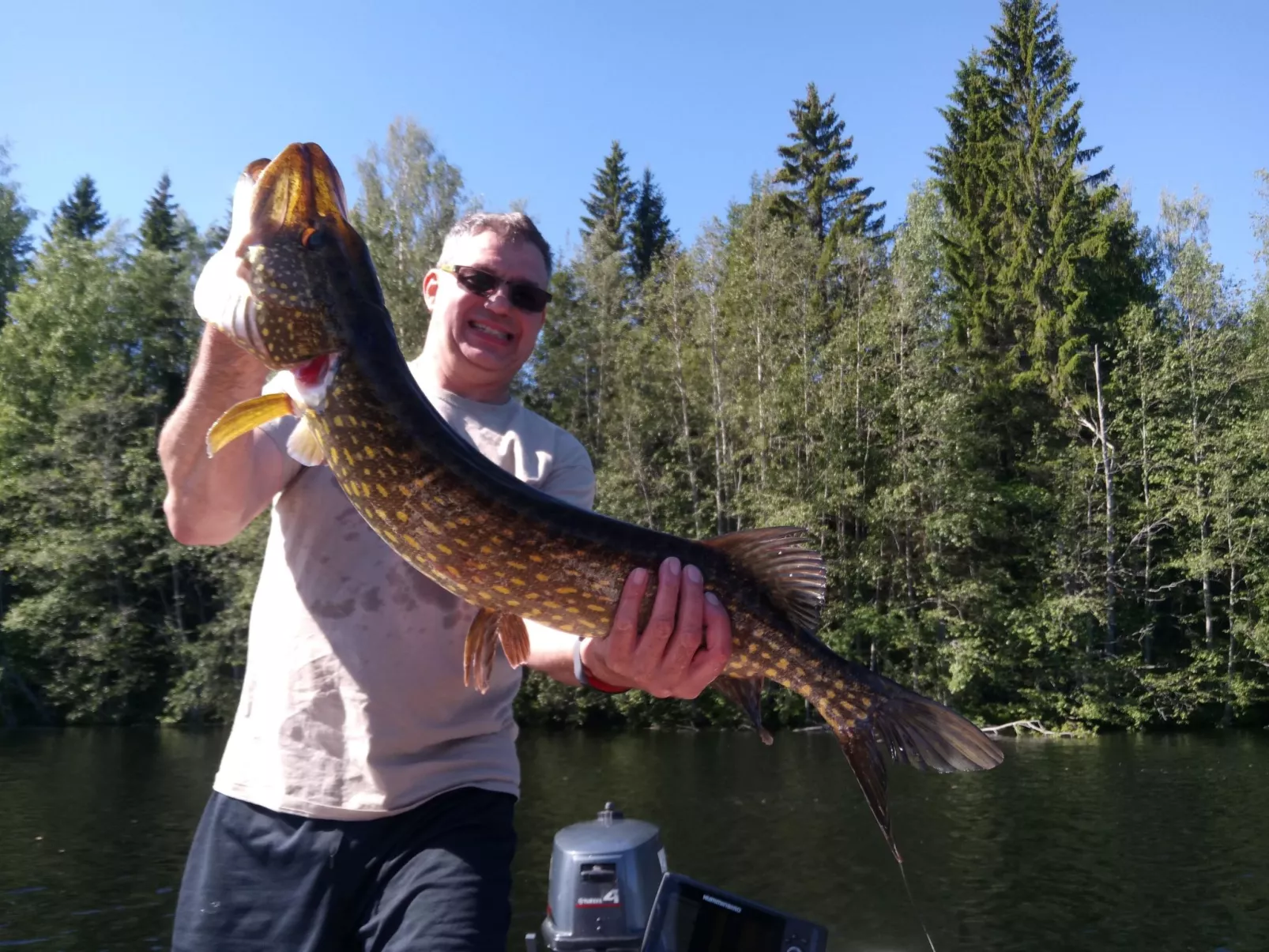 Ferientagheim Hammarstrand-Buiten