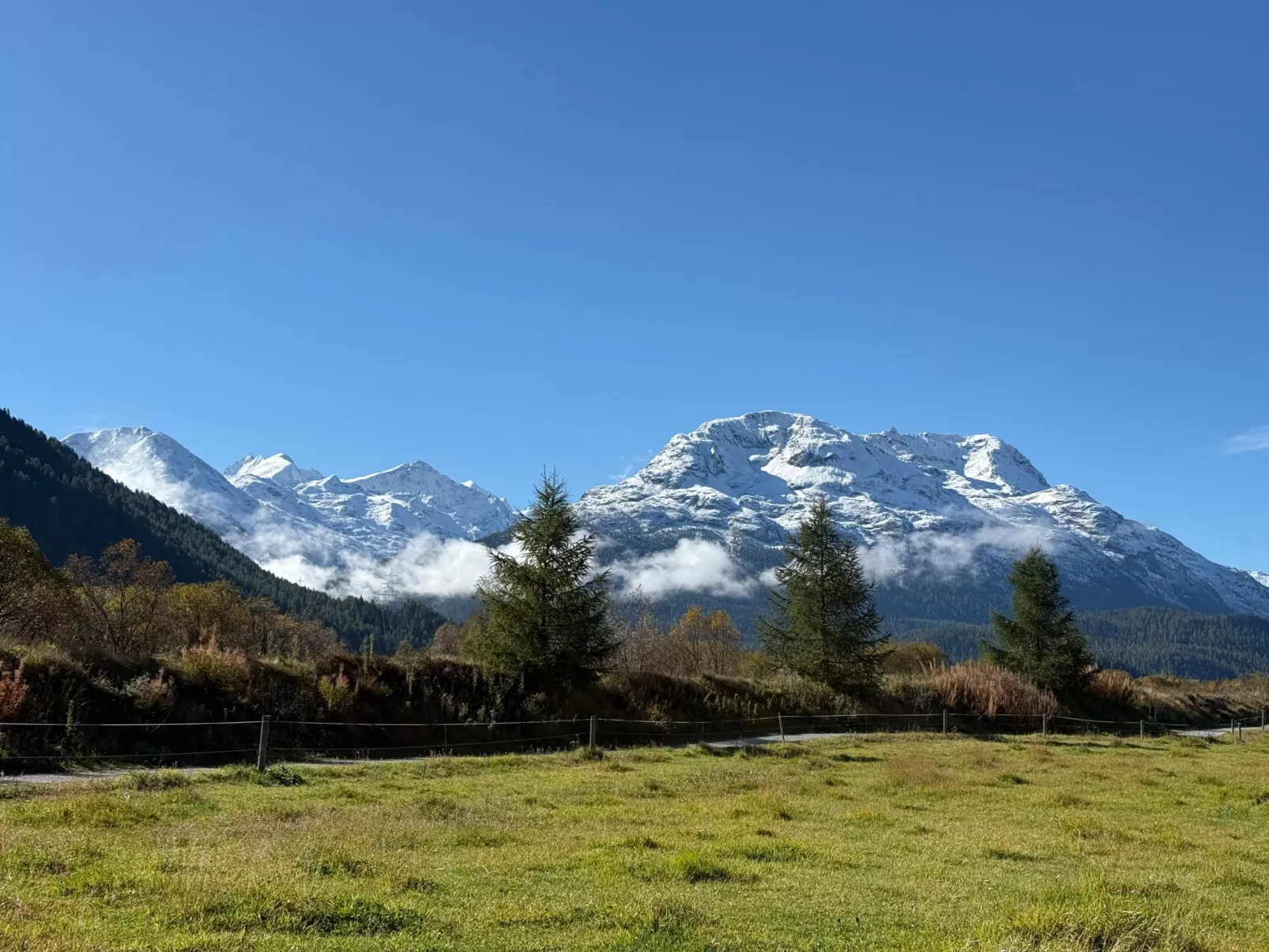 Chesa Robinson-Buiten