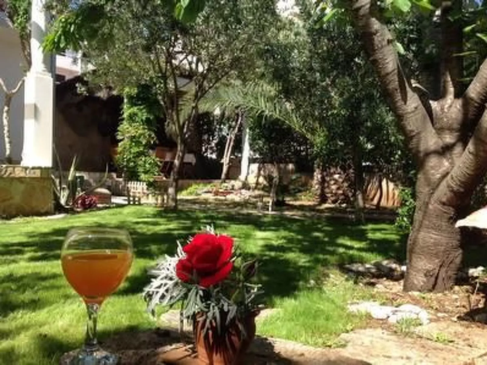 Mit Garten, Grill und Terrasse-Buiten