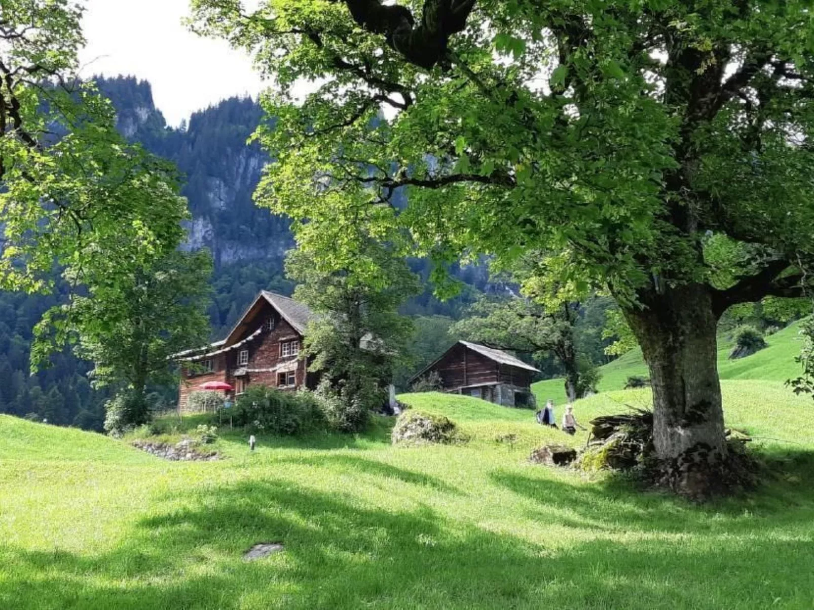 Rietberg 8 Braunwald-Buiten