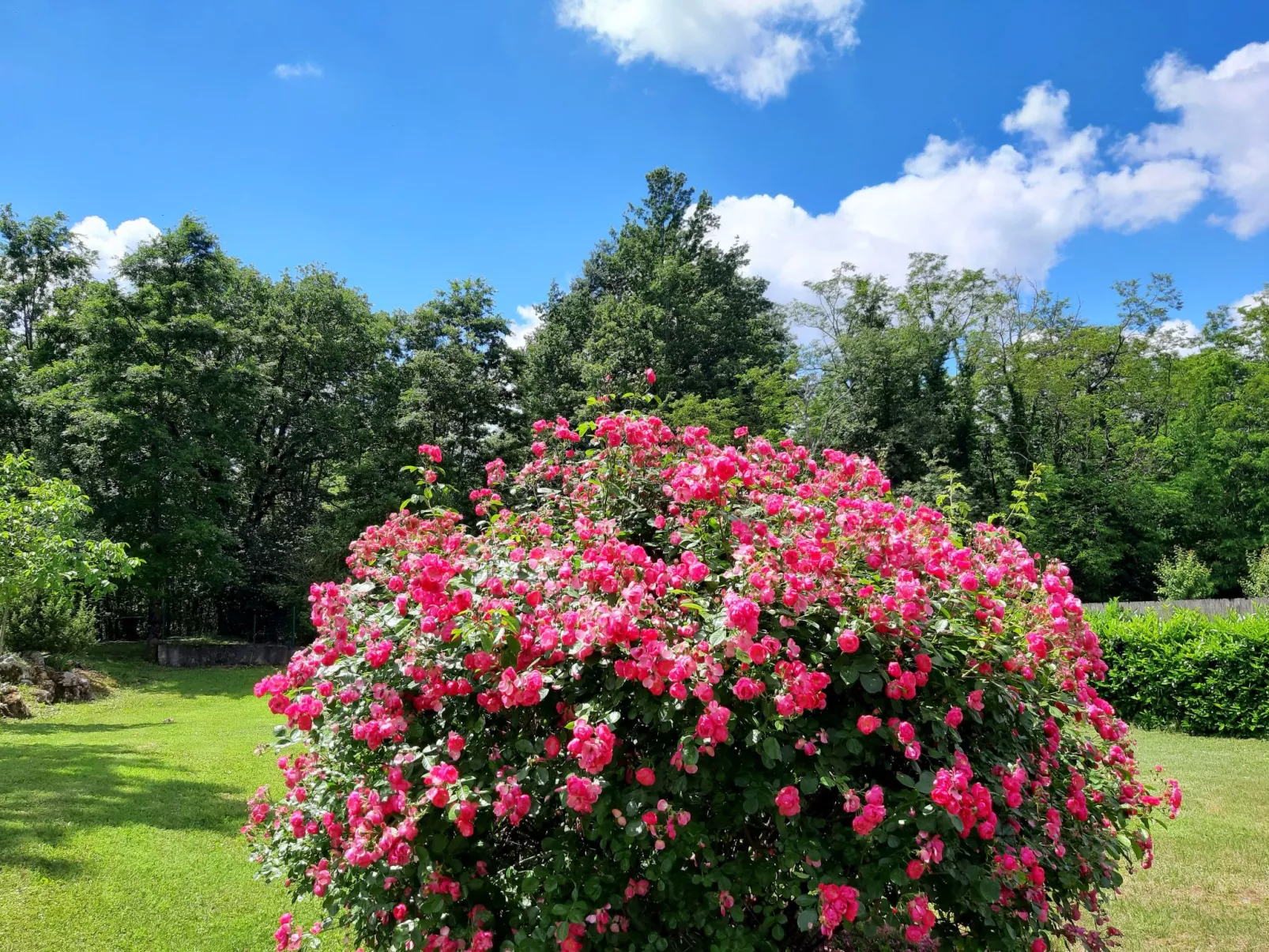 Romantische Villa mit weitläufigem Garten-Buiten