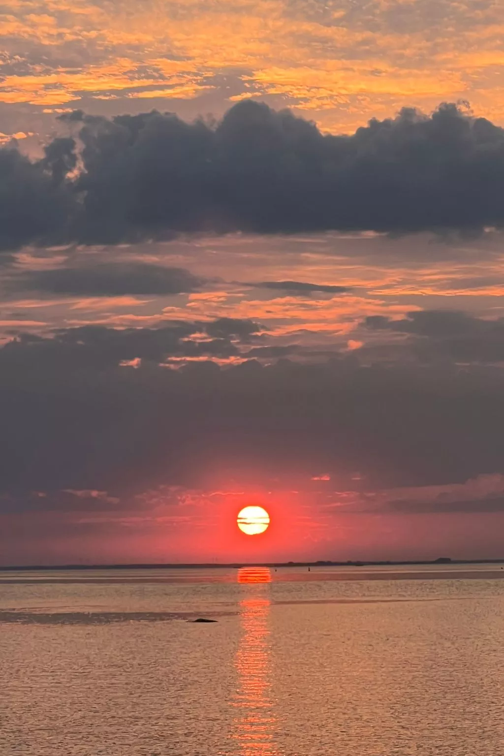 Lobster im Nauticum-Buiten