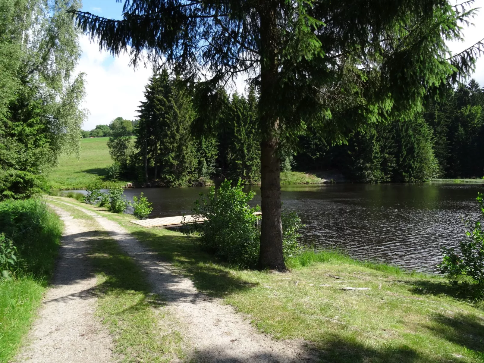 Wohnung Dreisessel im Bayerischen Wald-Buiten