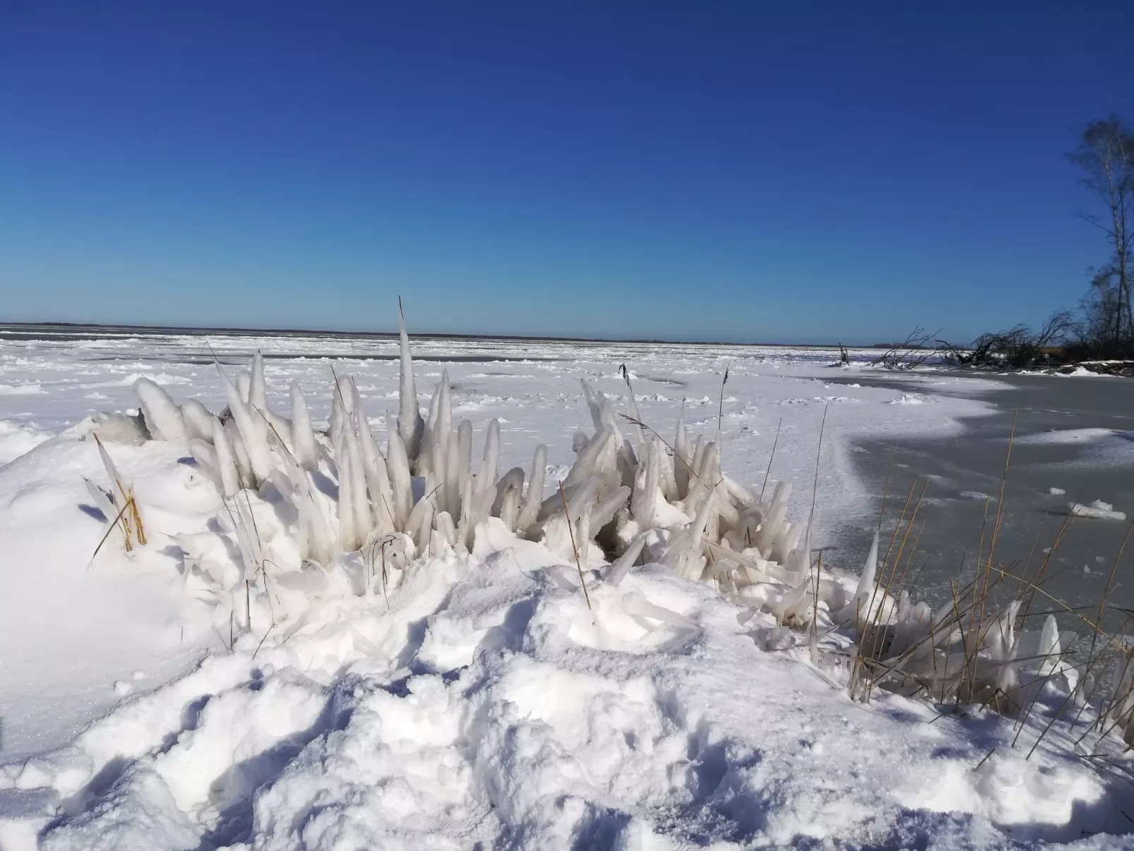 Erholung pur im Ferienhaus KIEK IN 95-Buiten