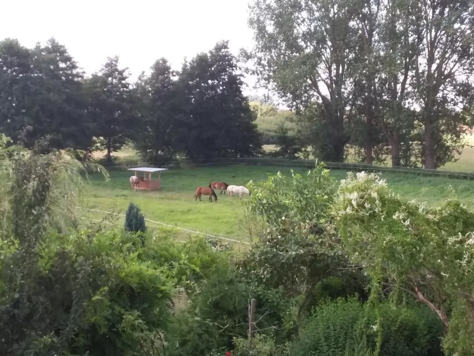 Schwalbennest-Image-tags.info