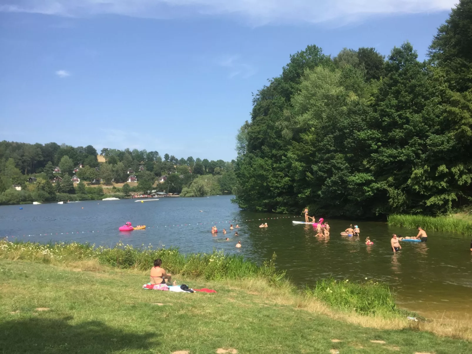 Haus Schmetterfly-Image-tags.info