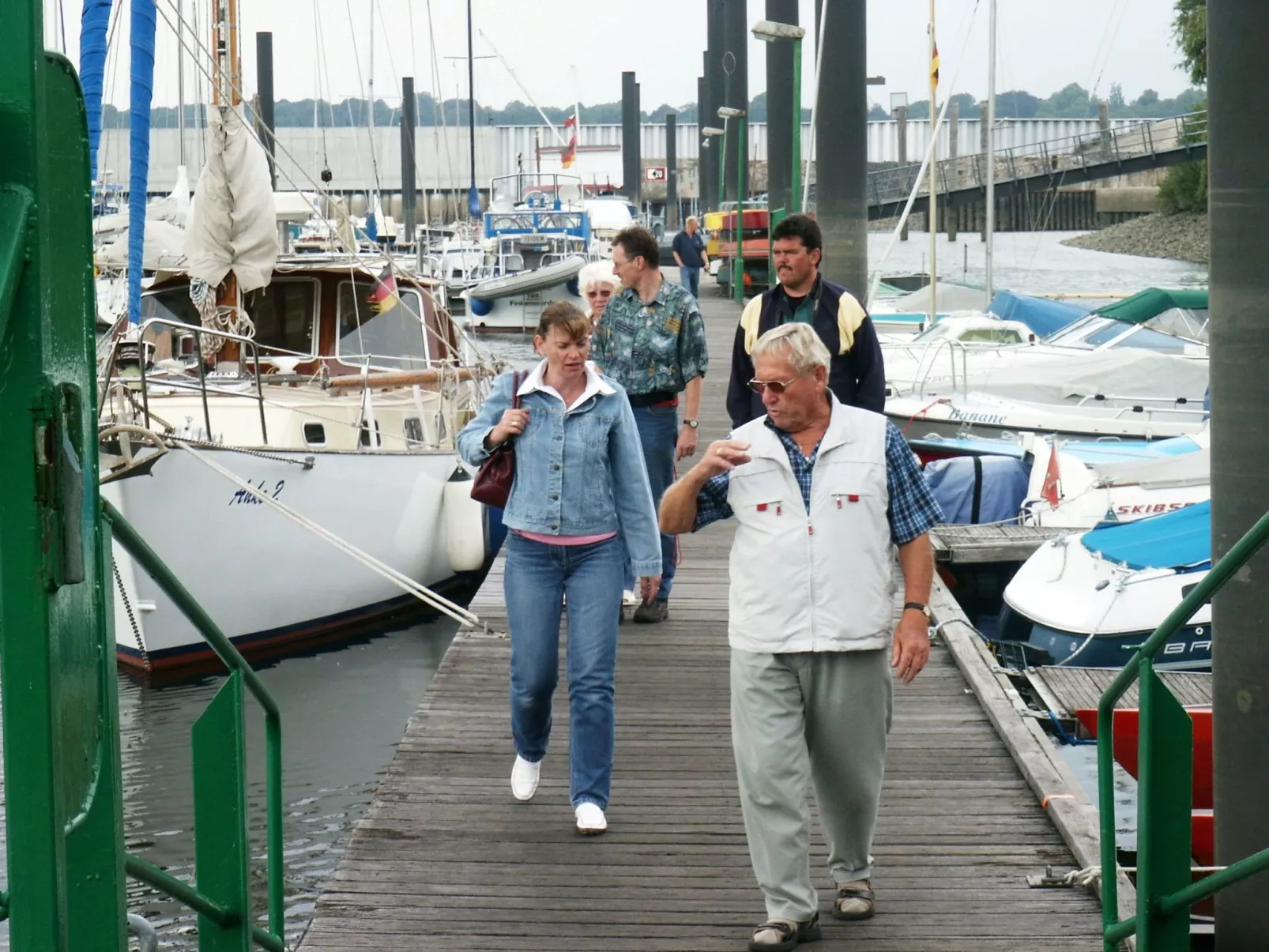 Heringsmöwe in Neue Tiefe-Buiten