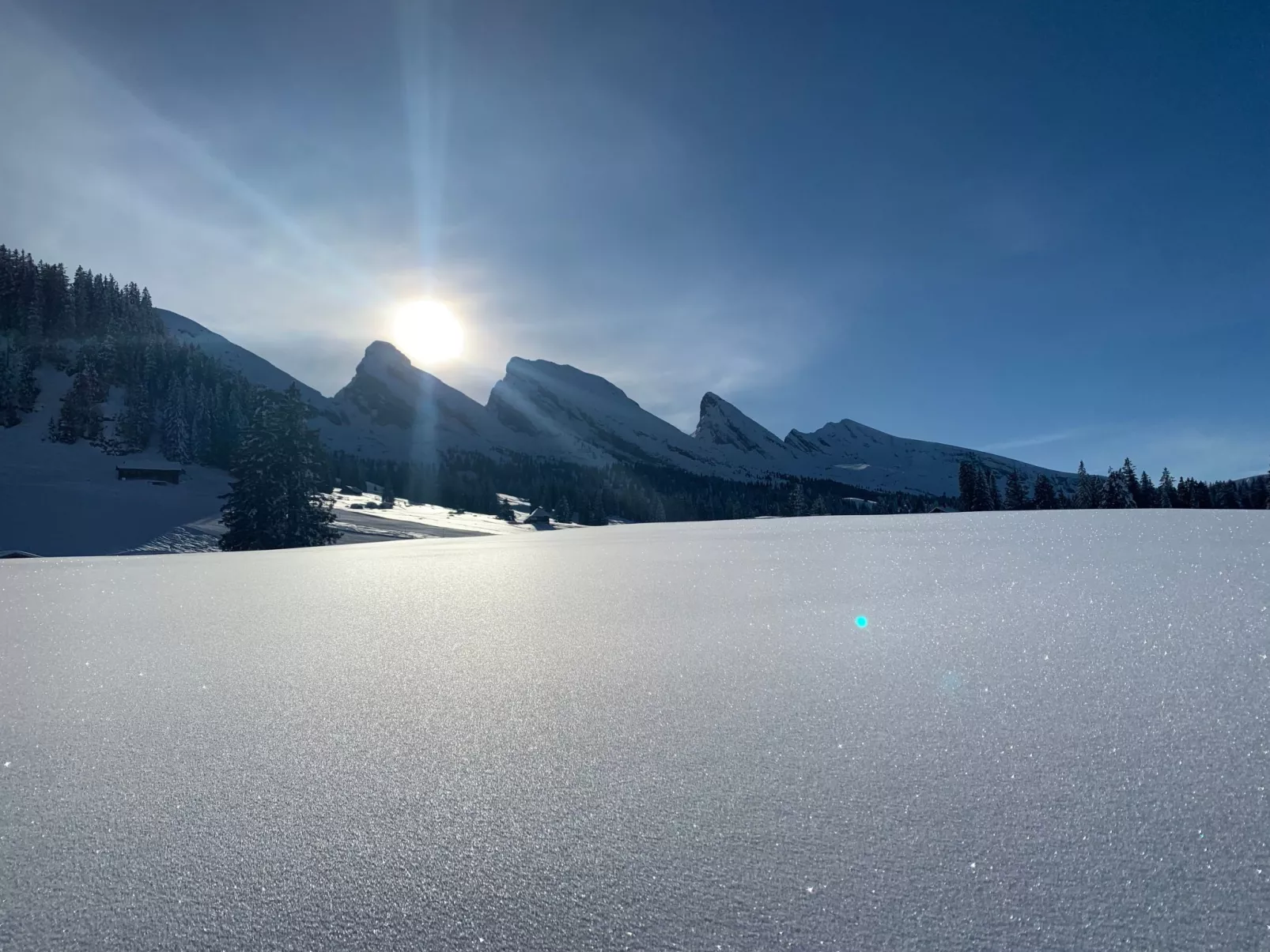 Studio alte Schmiede-Buiten