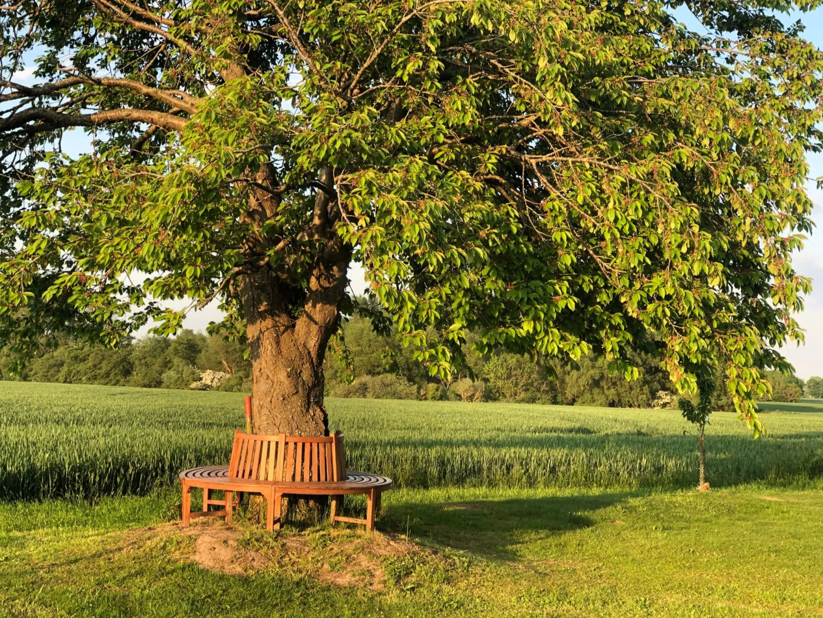 Bauernhaus auf Rügen-Buiten