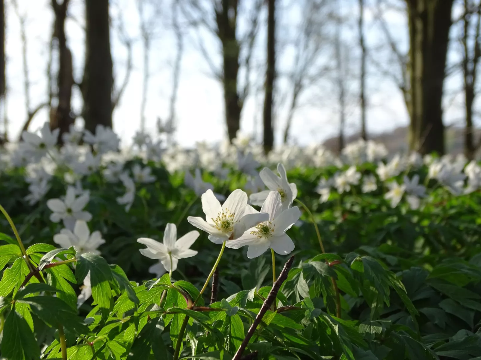 Ferienwohnung-Image-tags.info