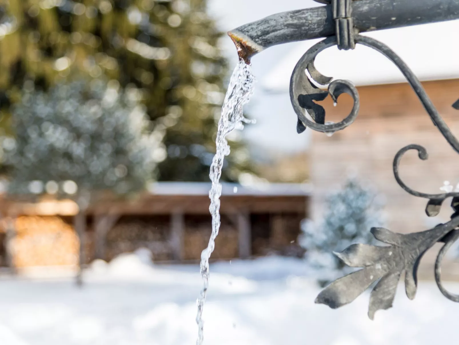 Chalet Försterei-Buiten