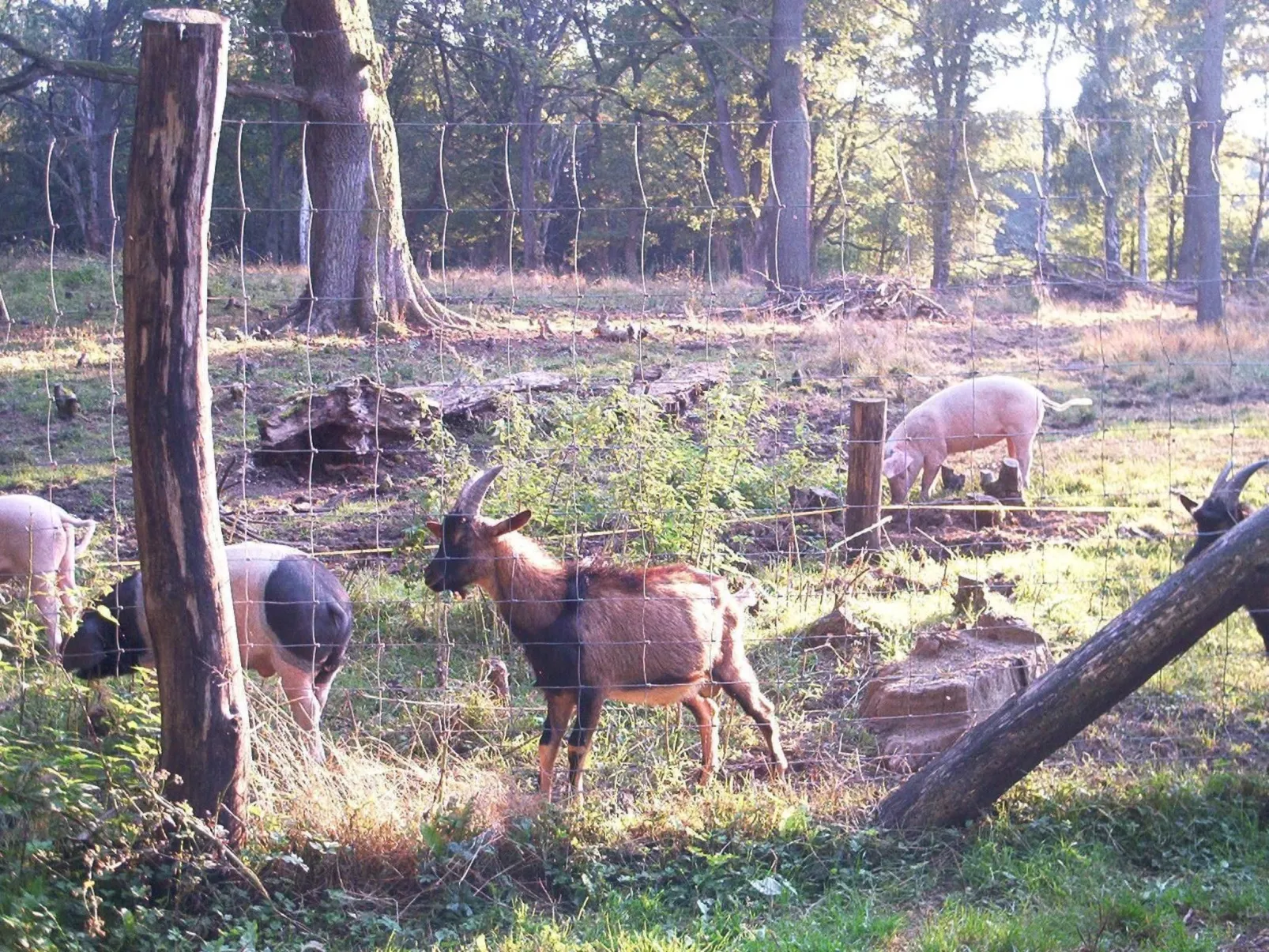 Fewo Stricker 21-Buiten