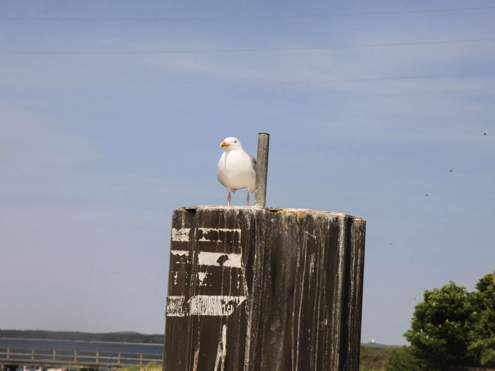 Ostseebrandung in Dranske-Buiten