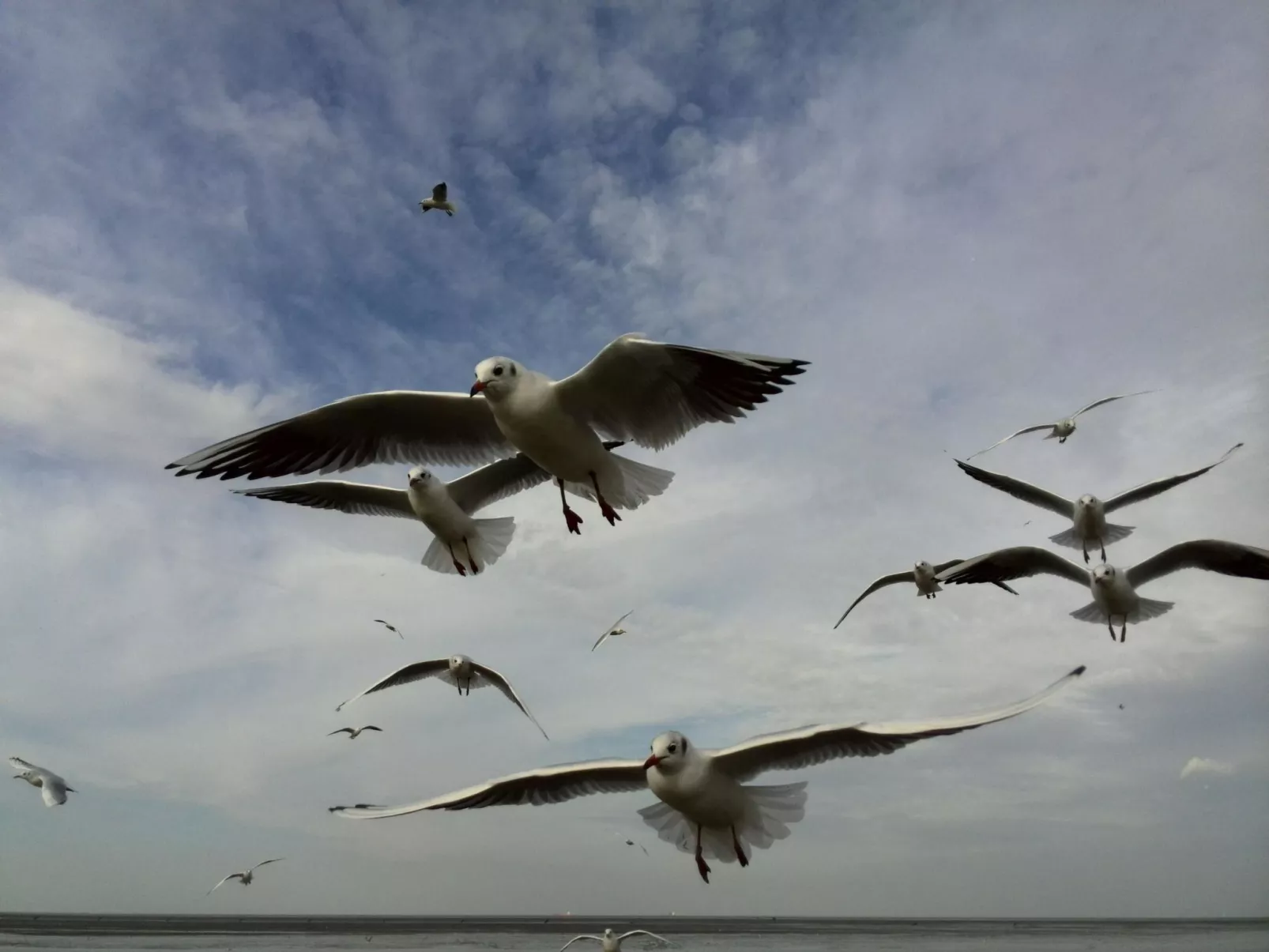 Sonniges Ferienhaus hinter dem Deich-Buiten