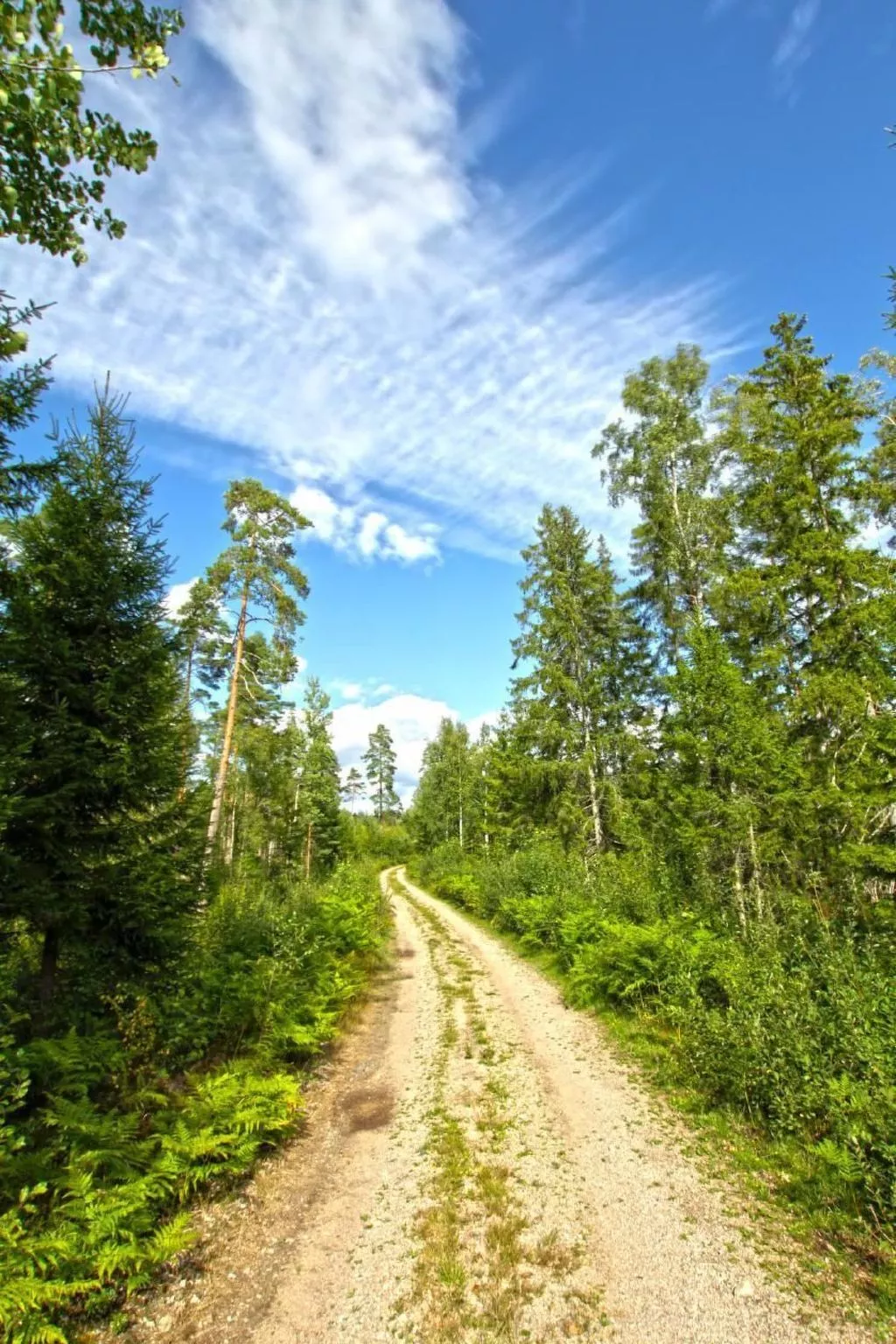 Mit Wasserblick-Image-tags.info