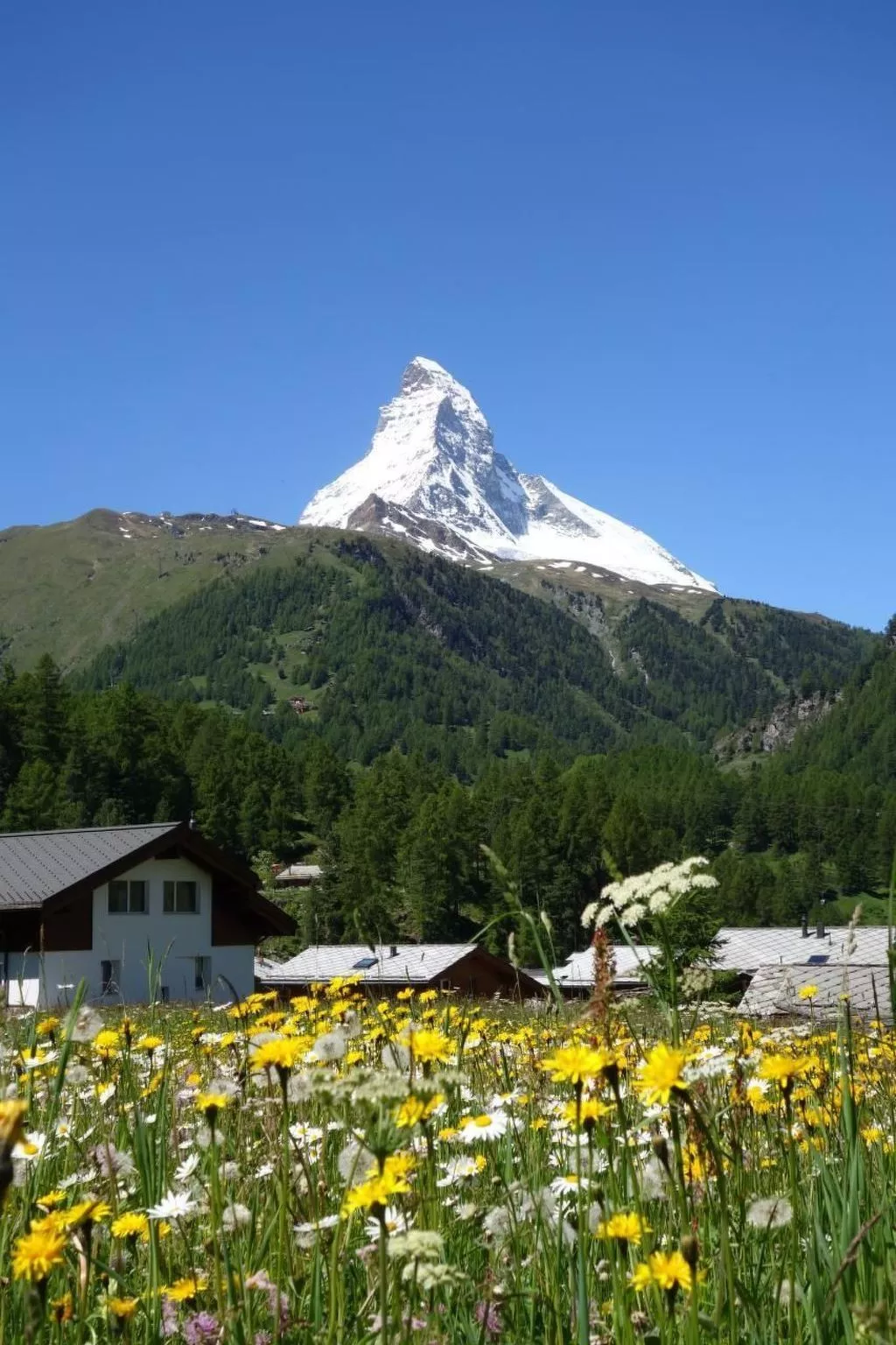 Studio mit traumhaftem Blick auf das Matterhorn-Buiten