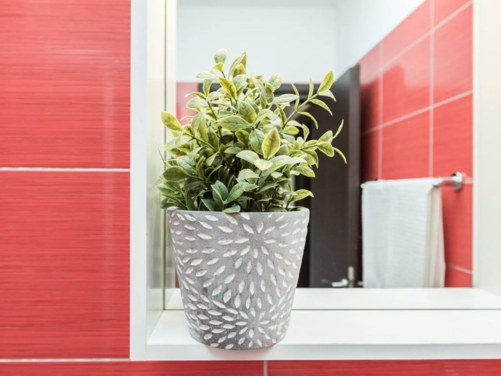 Wohnung Kim Red -von TA Leut Agency-Binnen