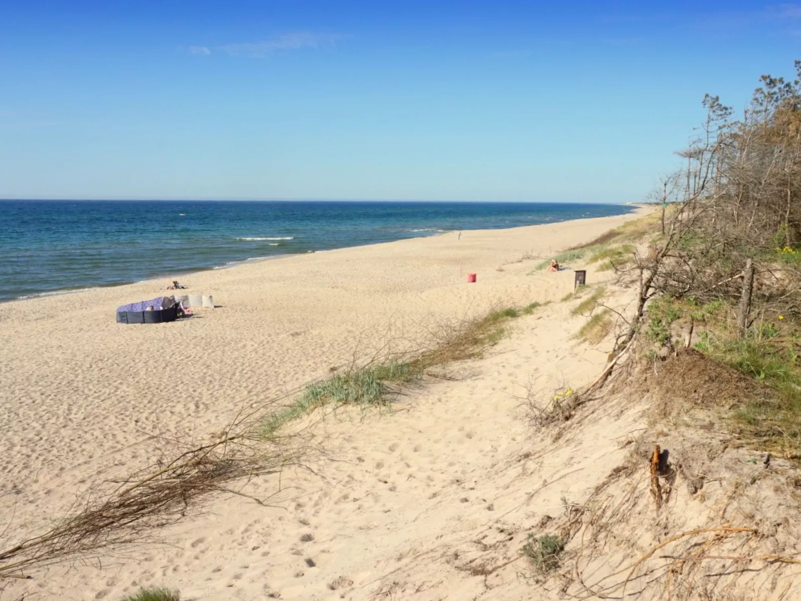 "Paradise Star Bobolin"-Image-tags.info