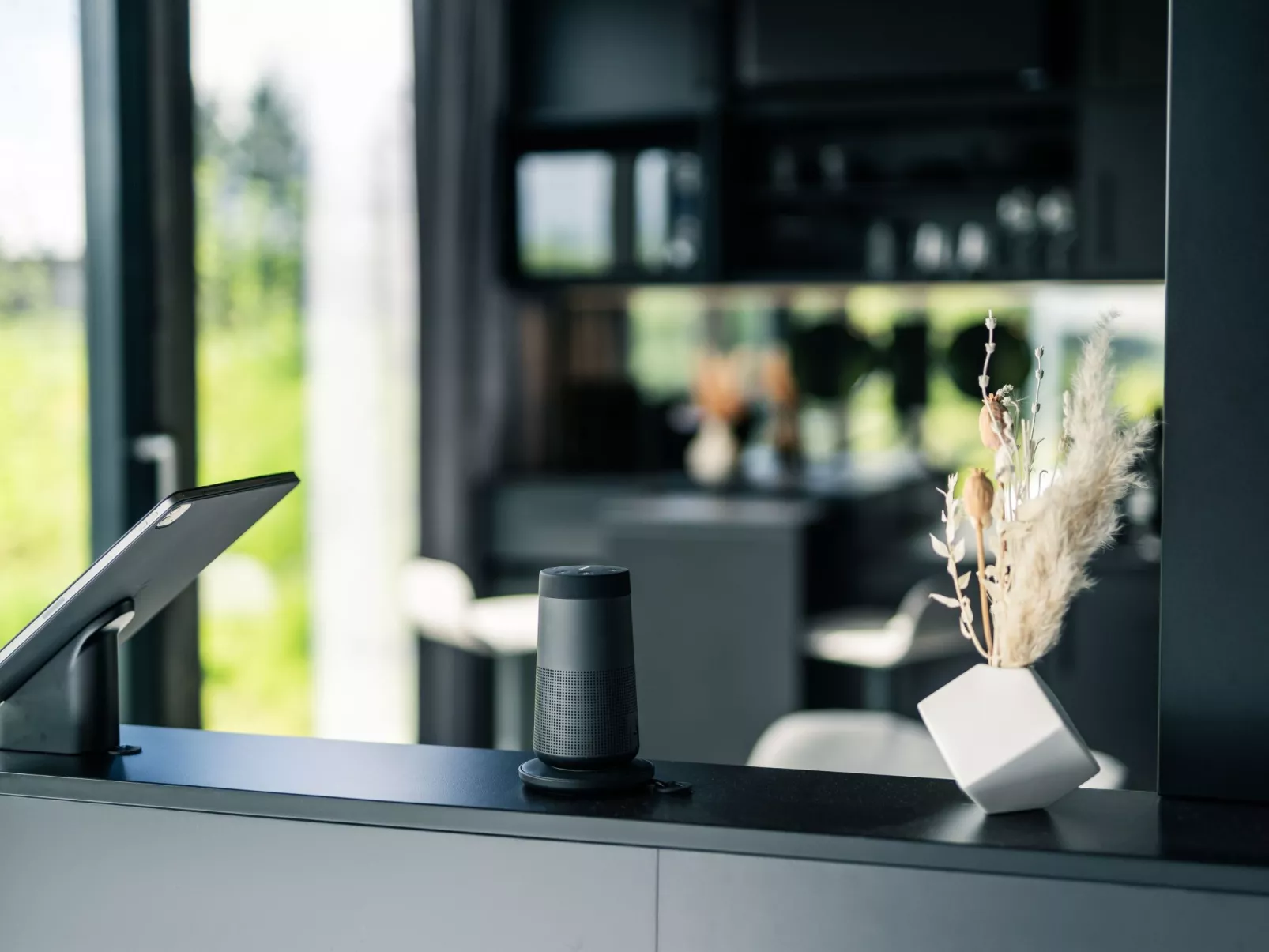 (7) Style 2 Hund-Buiten