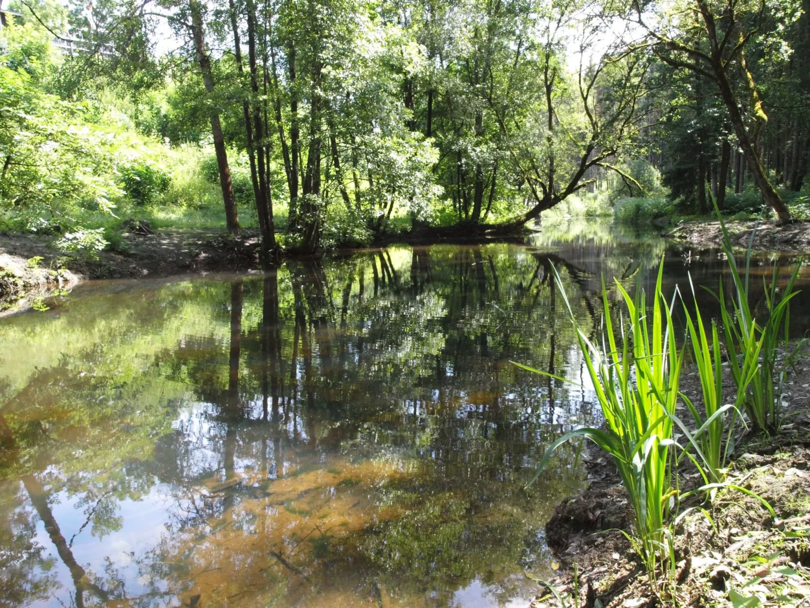 EXCLUSIVE FERIENWOHNUNG MIT EIGENER SAUNA-Buiten