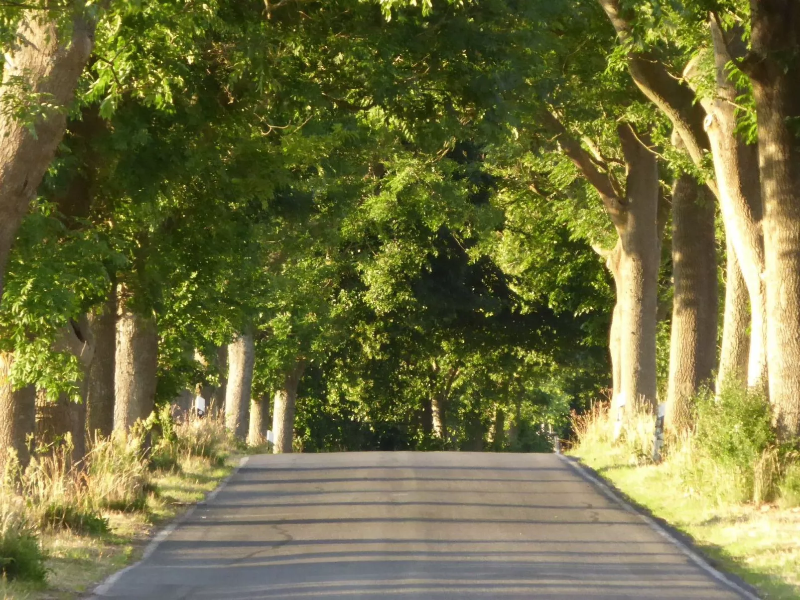 Hochwertige Ferienwohnung in Gingst-Image-tags.info