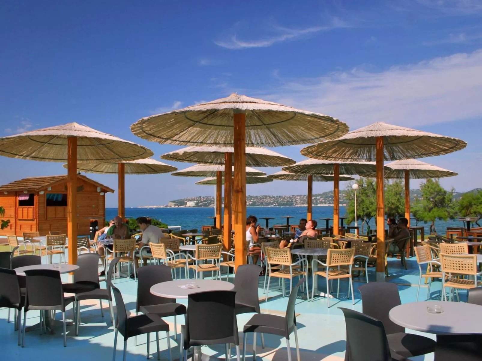 ALBINA STUDIO 5-Image-tags.info