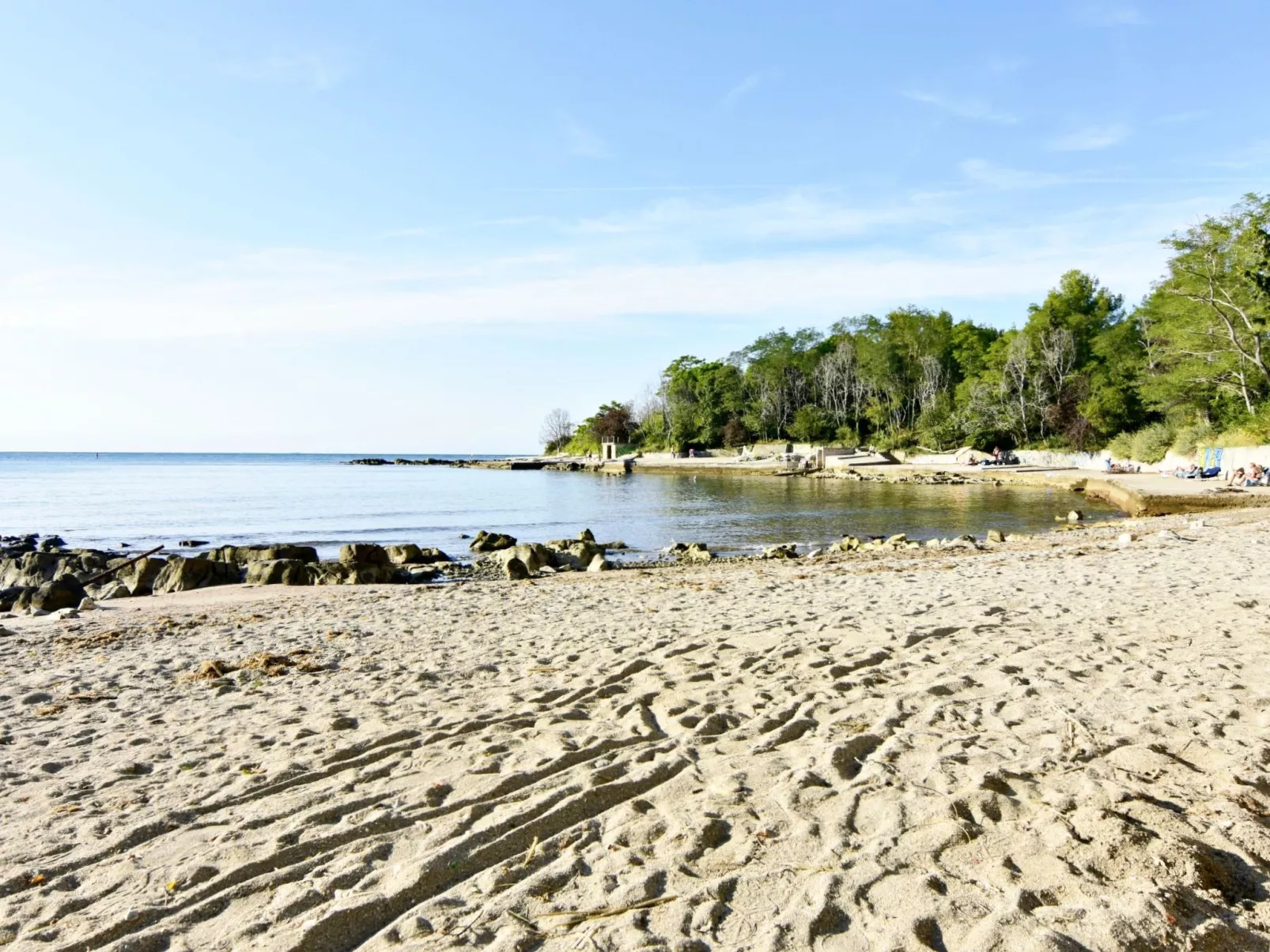 Silva B4+1-Image-tags.info