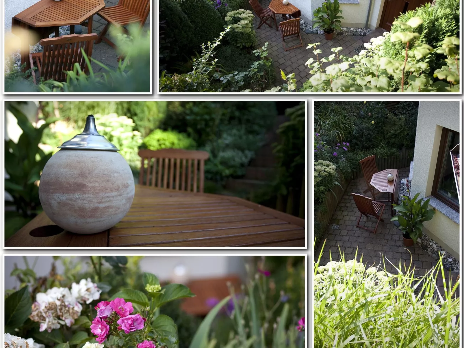 Fewo Ginkgo-Image-tags.info