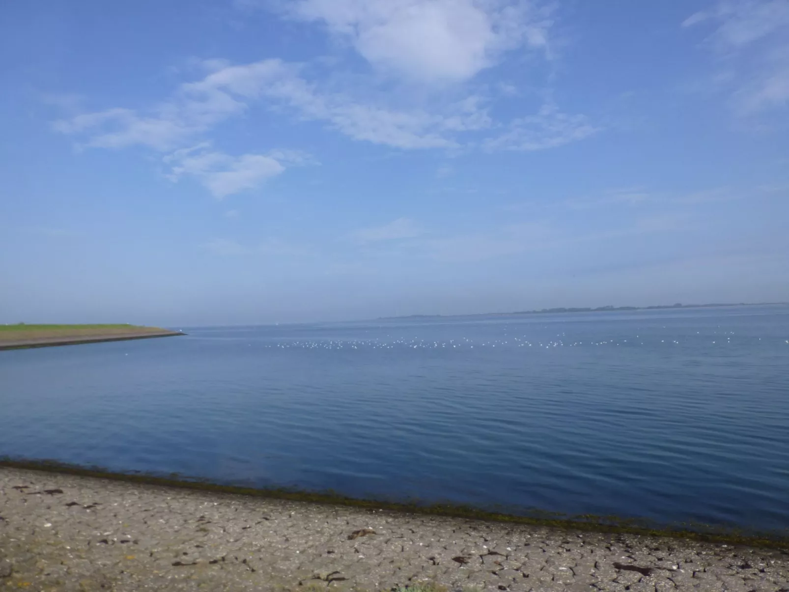Neuer schöner Bungalow-Buiten