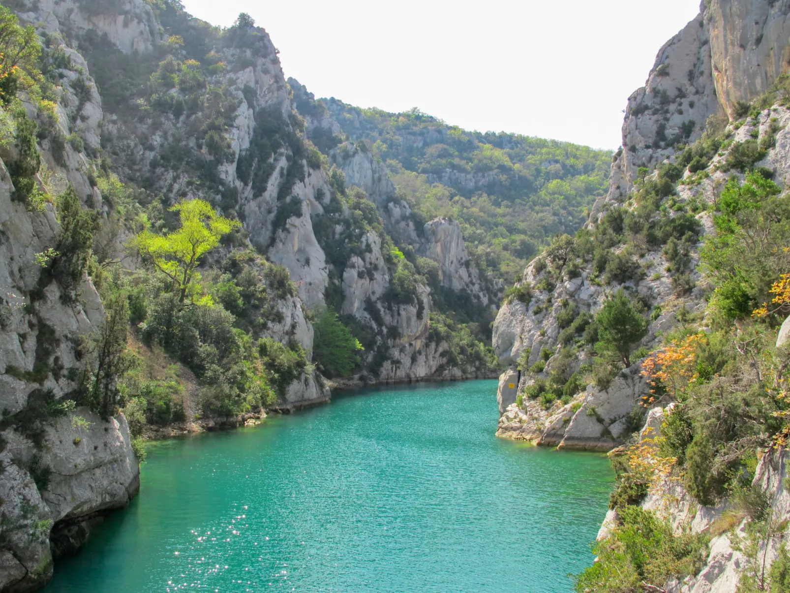 "Limounie" mit Terrasse-Omgeving