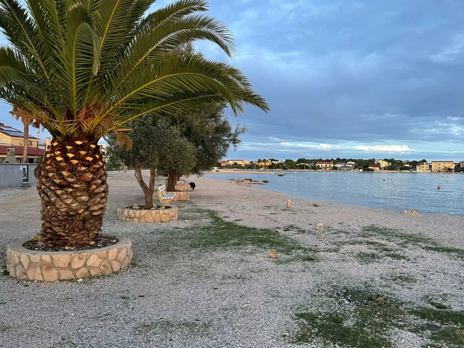 Delfin-Image-tags.info