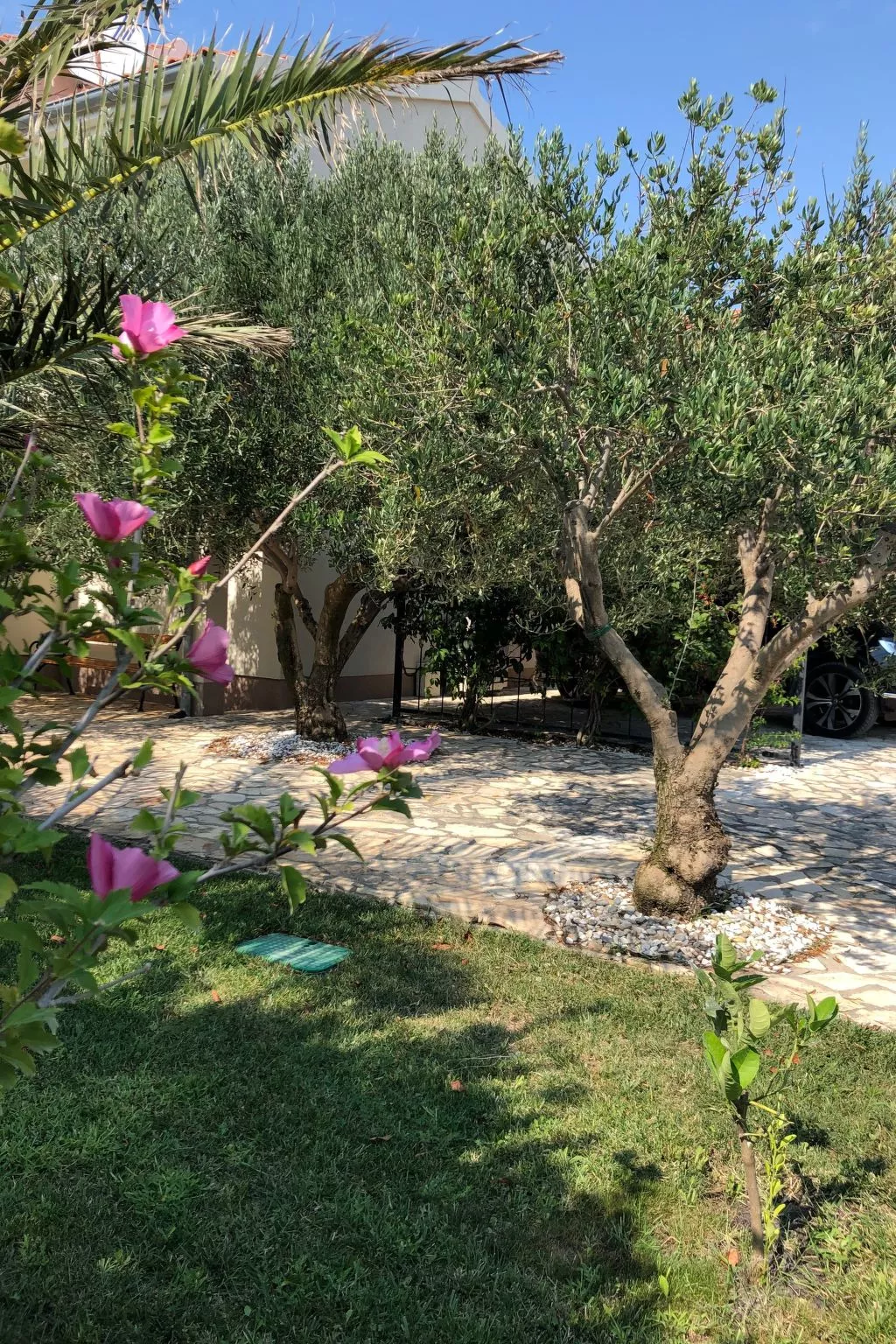 Villa Olive Grove-Buiten