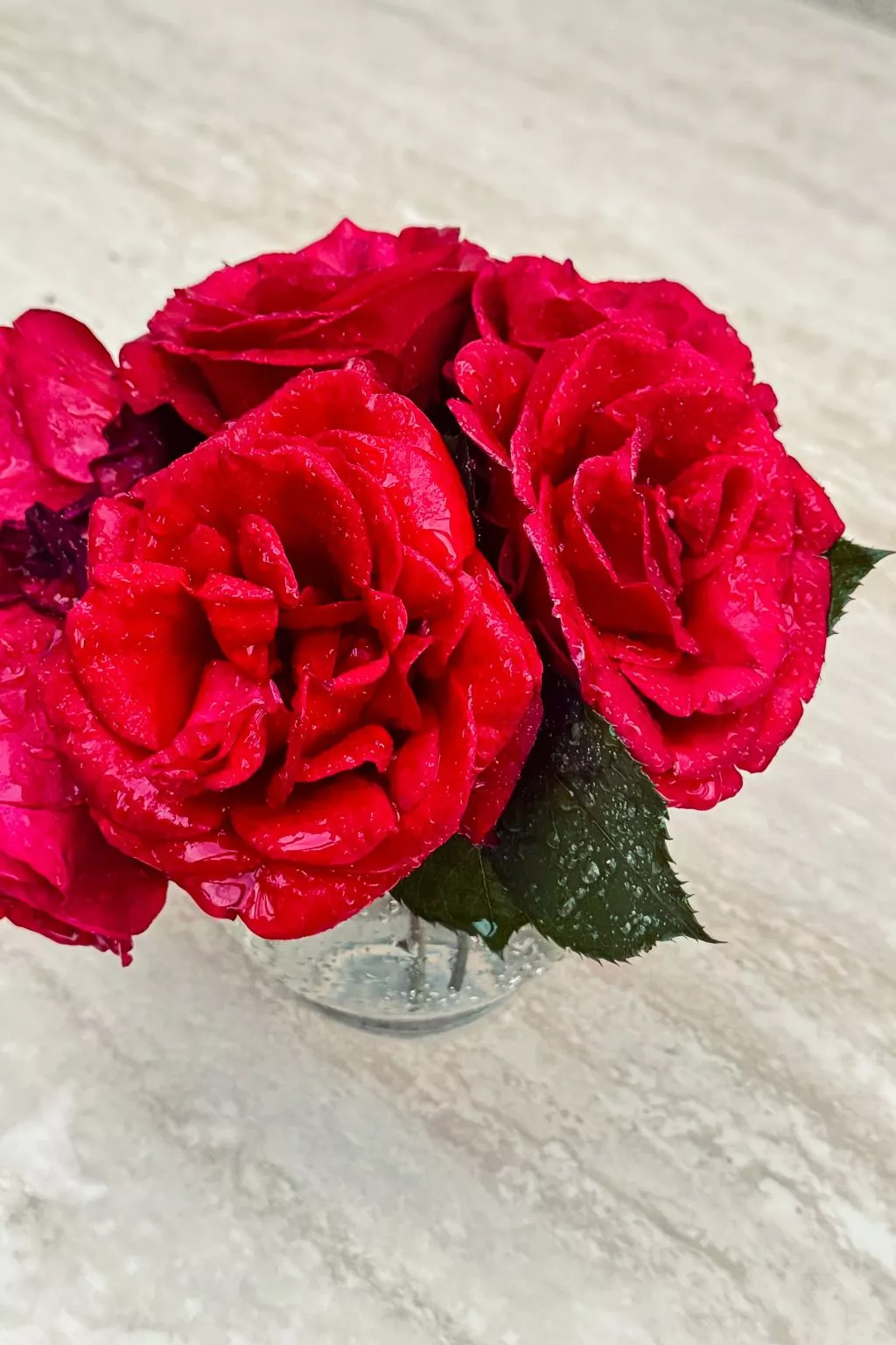 Villa mit Blick auf das Wasser-Binnen