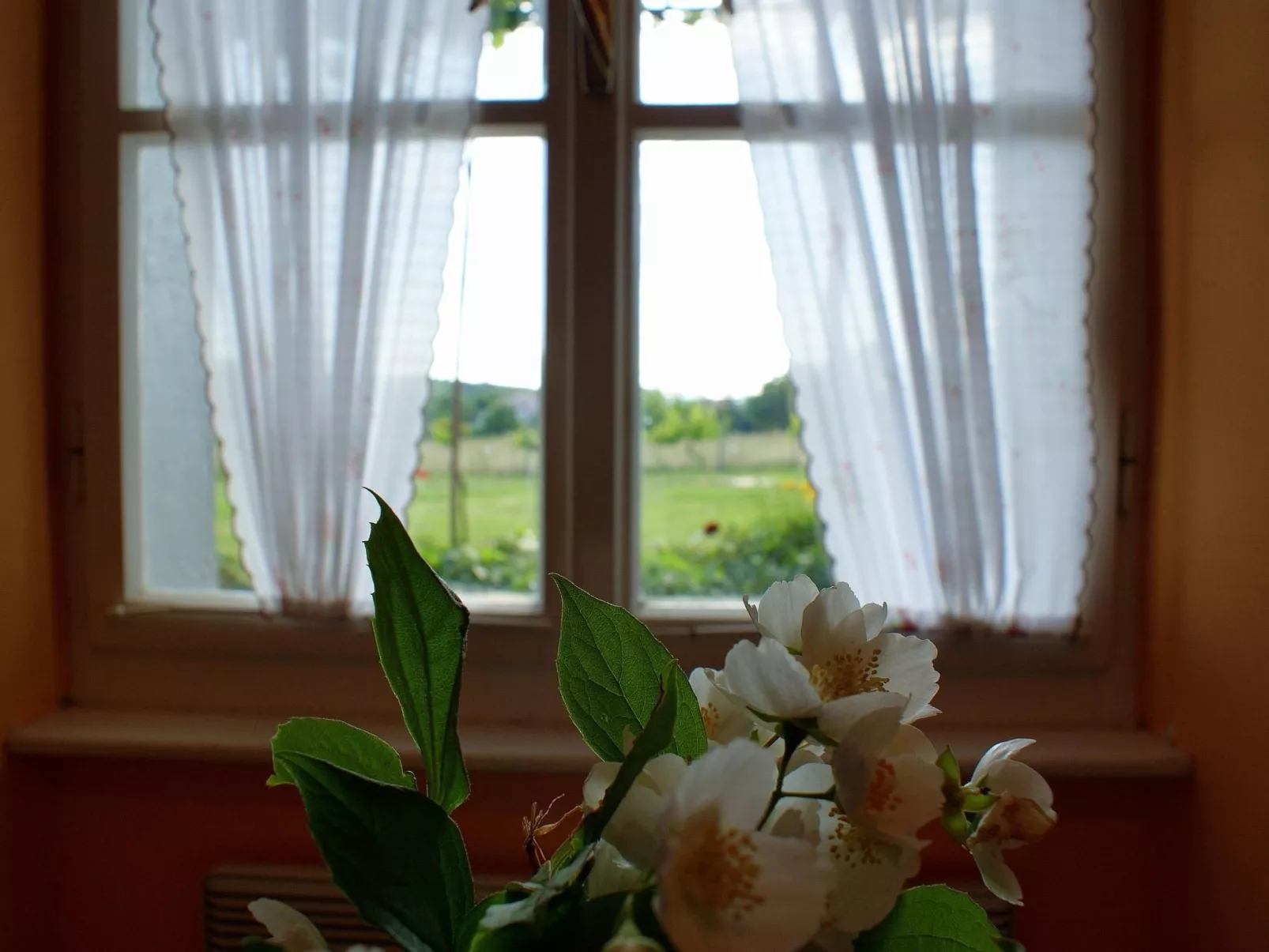 Freistehendes Haus Violeta mit weitläufigen Garten-Binnen