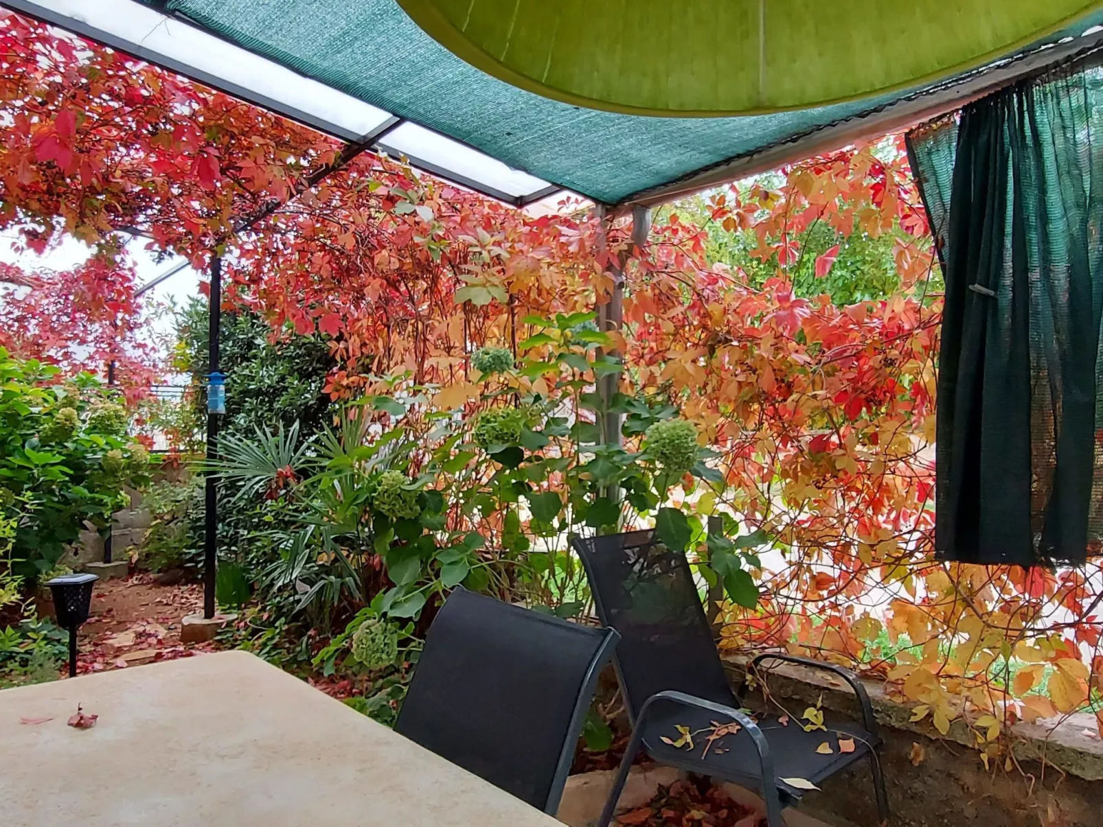 Appartement de vacances "1 Eti und Mia Haus"-Buiten