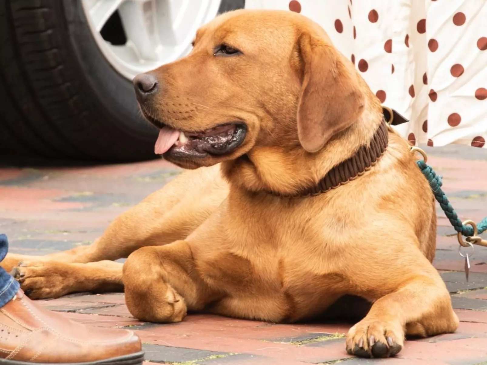 Villa Mönchgut Binz-Buiten
