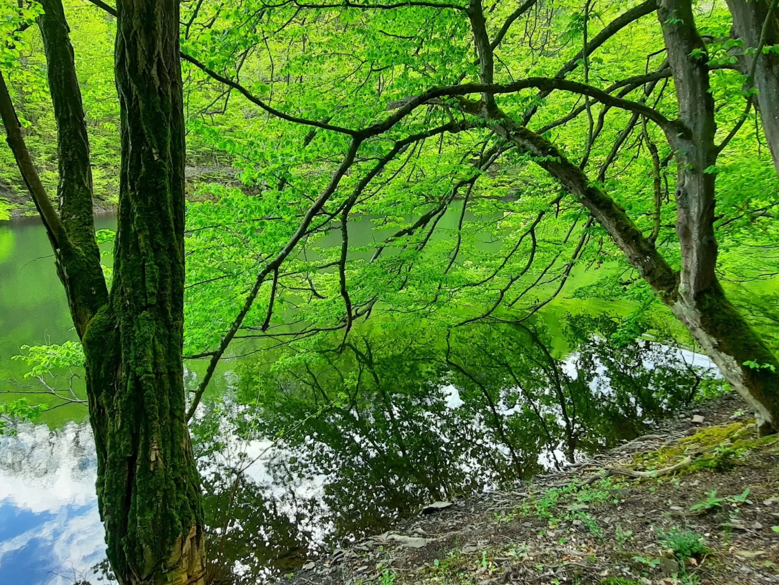 Gartenblick in Vöhl-Basdorf-Buiten