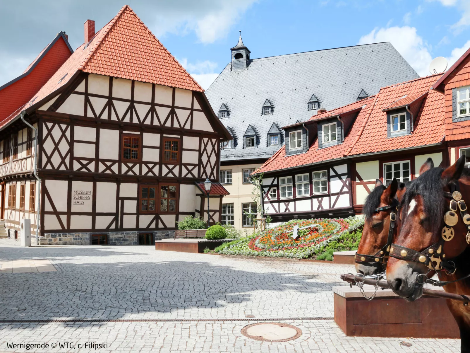 Wohnung in Wernigerode mit Garten-Omgeving