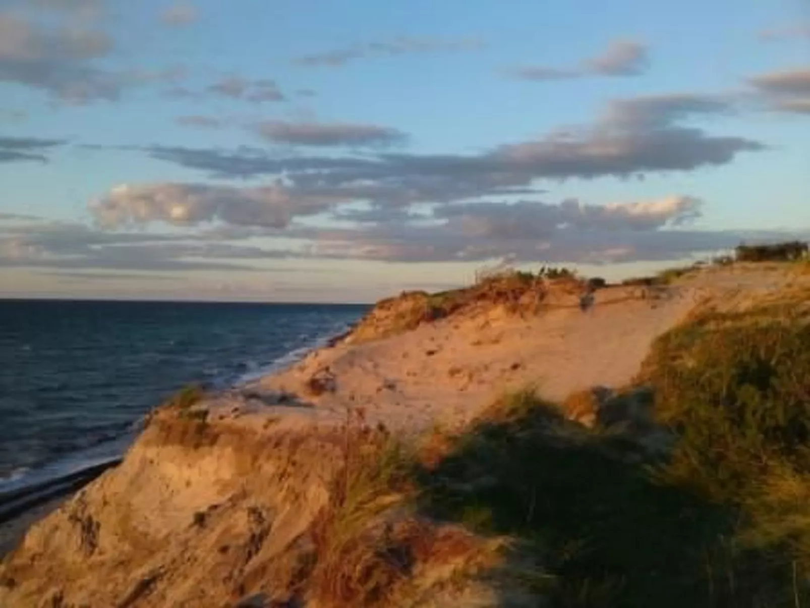 Froschhaus-Image-tags.info