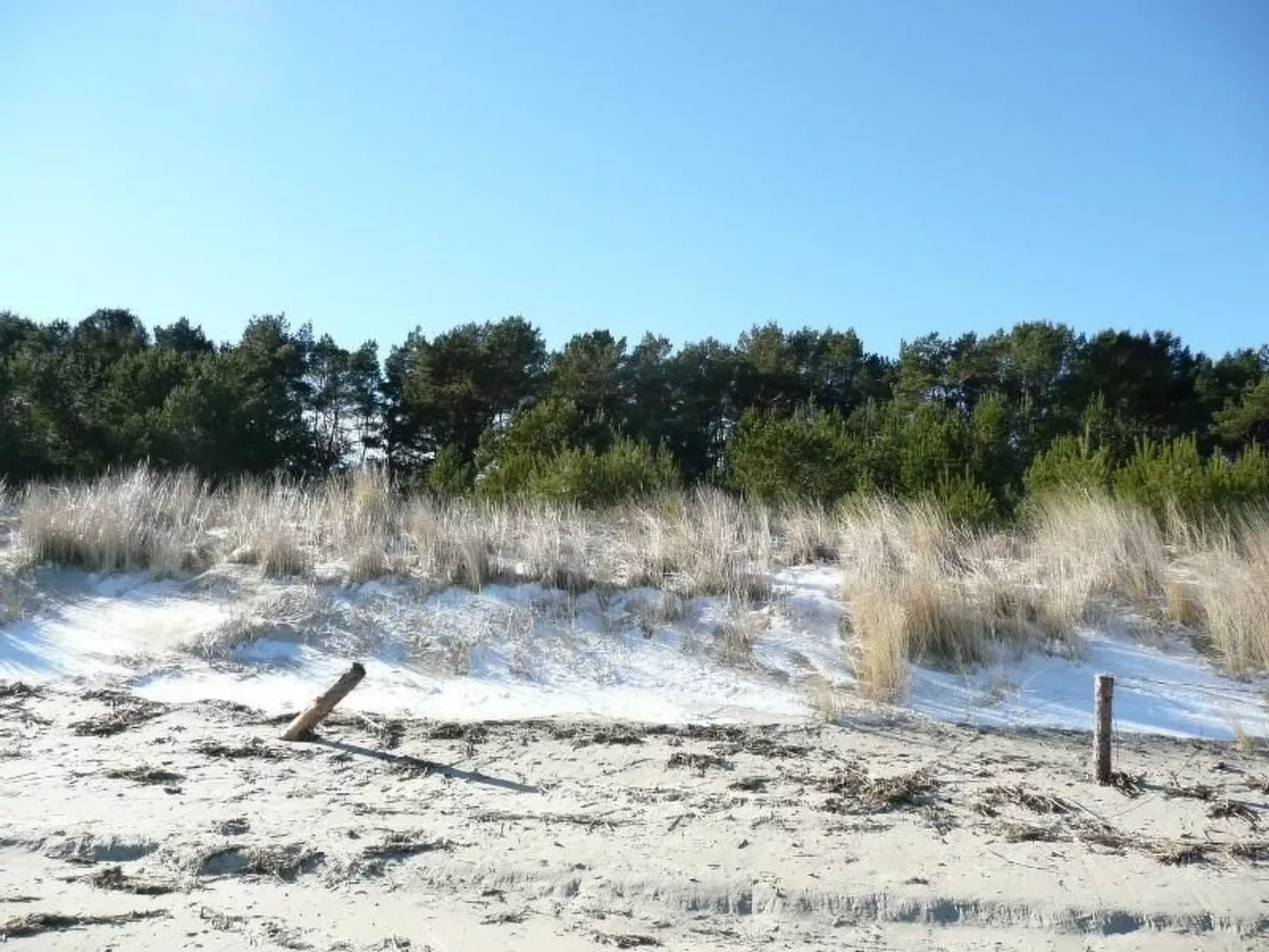 "Haus zum Kapitän"-Buiten