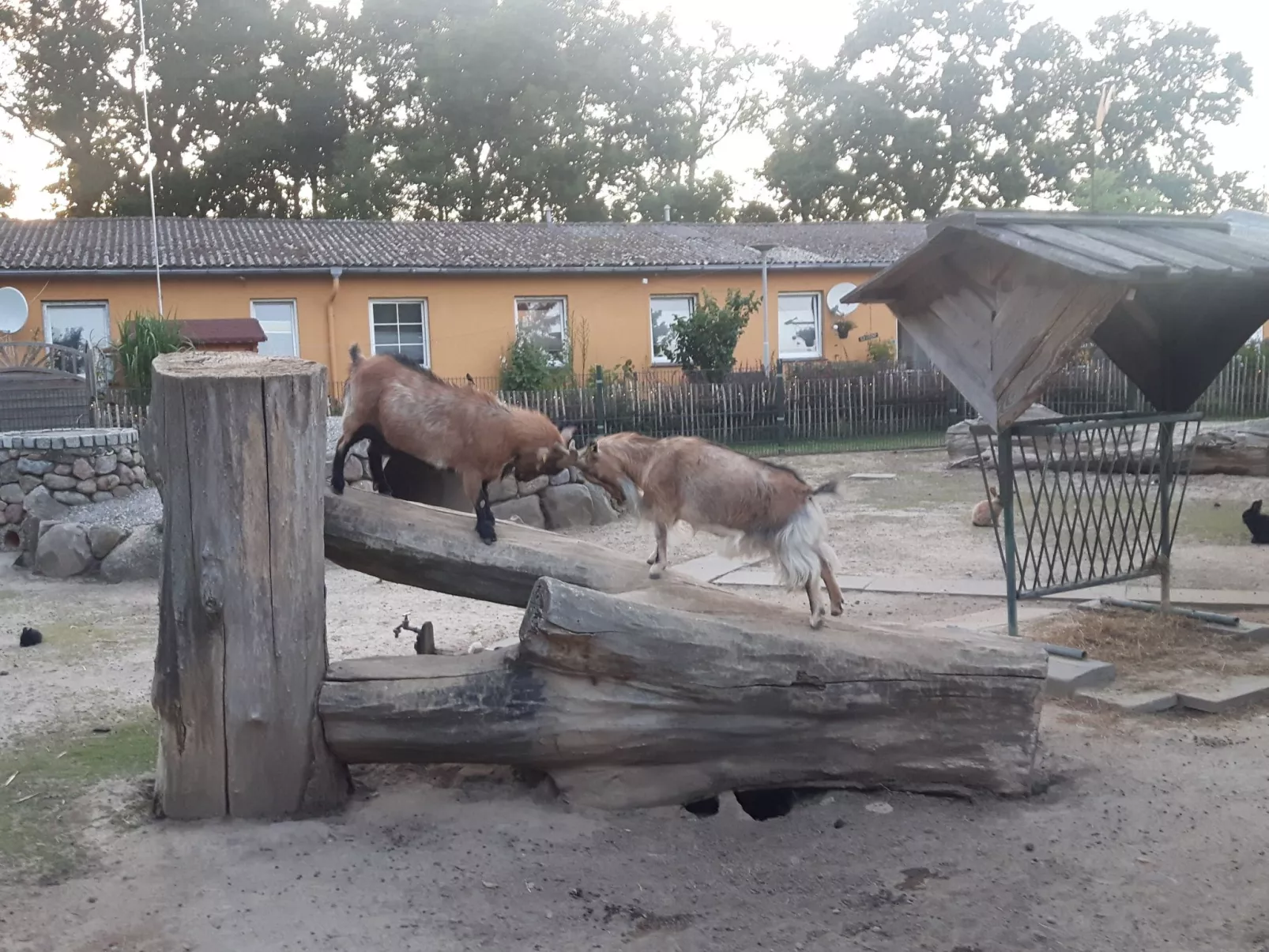 Schönes Schwedenhäuschen-Buiten