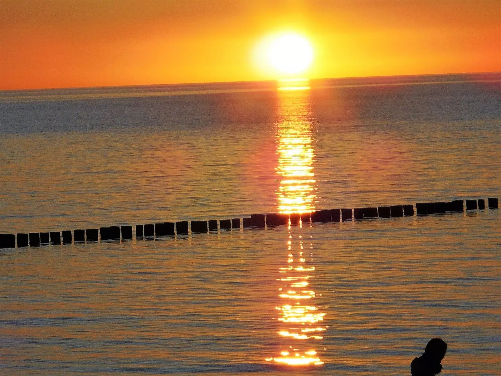 Kleine Ferienwohnung mit Garten und Terrasse-Buiten