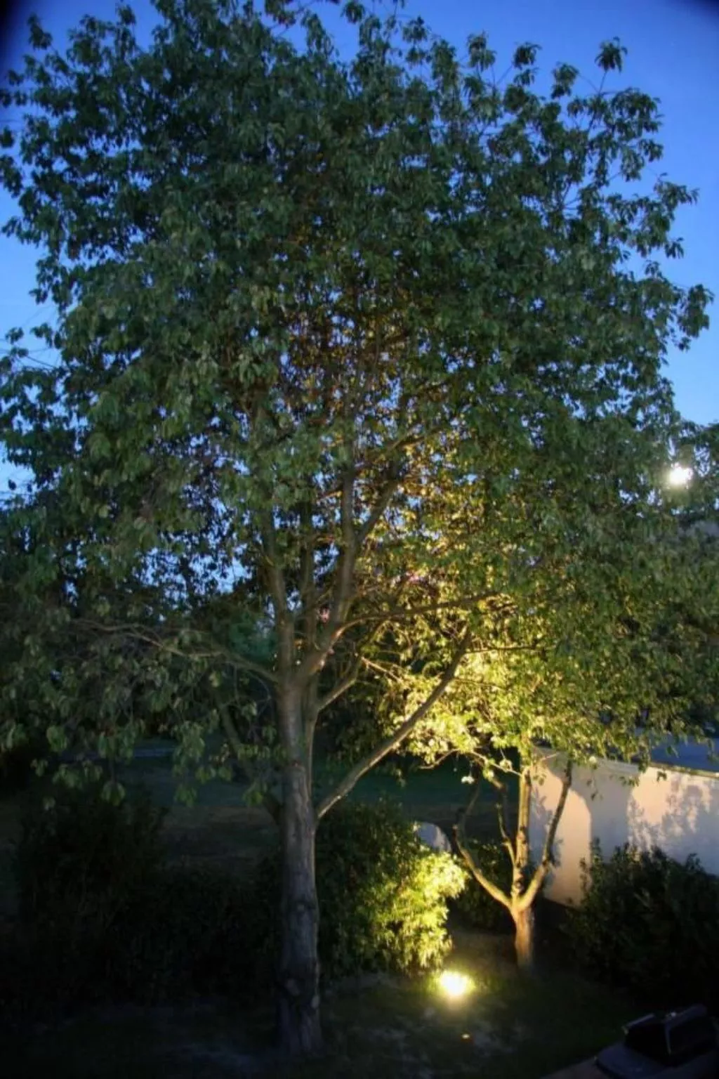 In Groß Schwansee mit Offenem Kamin-Buiten